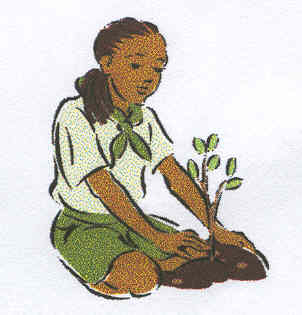 Little Girl Planting a Flower